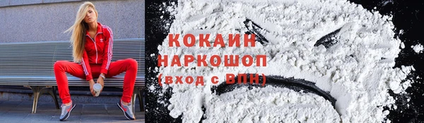 мдпв Кинешма