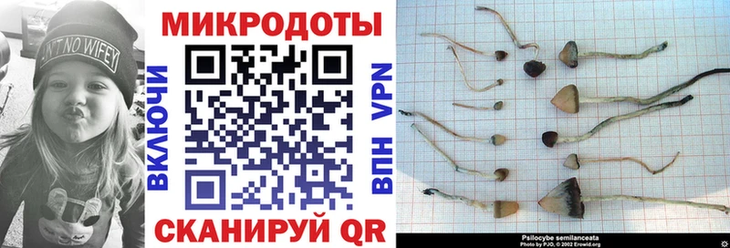 Купить  Рубцовск  Галлюциногенные грибы мухоморы 